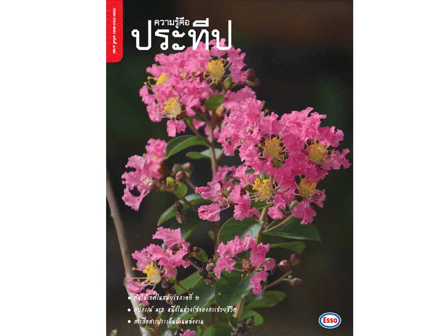 
    ต้นไม้เทศในสมัยรัชกาลที่ 2
    อุปกรณ์ AED หนึ่งในห่วงโซ่ของการช่วยชีวิต
    การสื่อสารประเด็นด้านพลังงาน
