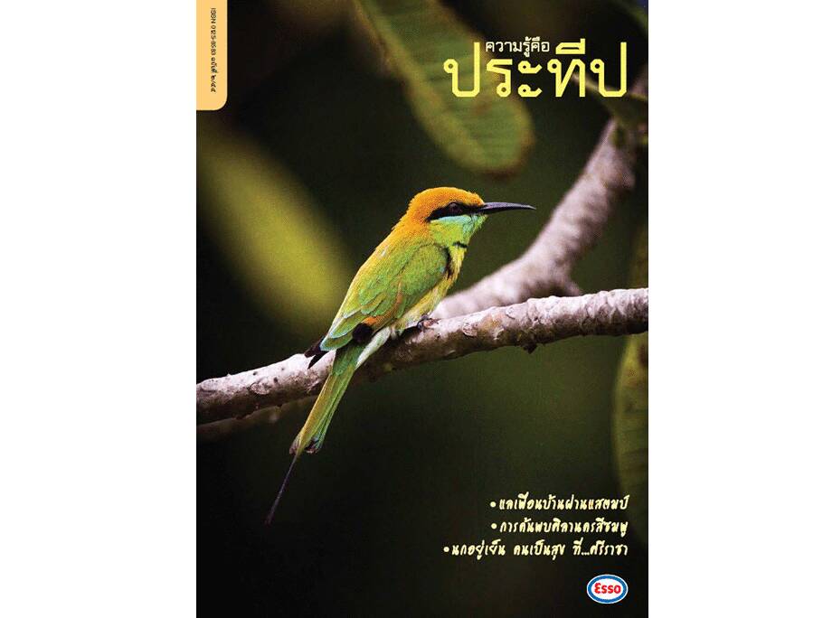 
    แลเพื่อนบ้านผ่านแสตมป์
    การค้นพบศิลานครสีชมพู
    นกอยู่เย็น คนเป็นสุข ที่ศรีราชา
