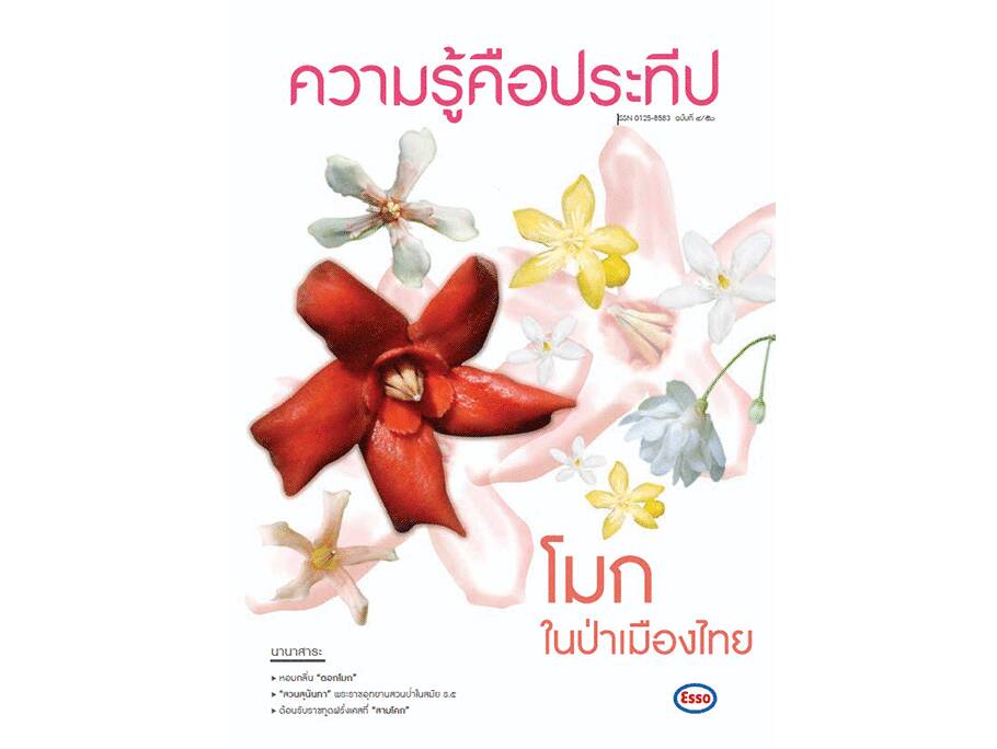 
    หอมกลิ่น 