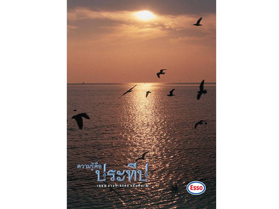 
    แสงหนึ่งคือรุ้งงาม
    กระปุก มรดกไทยในอดีต
    ไปบางปู...ดูนกนางนวล
